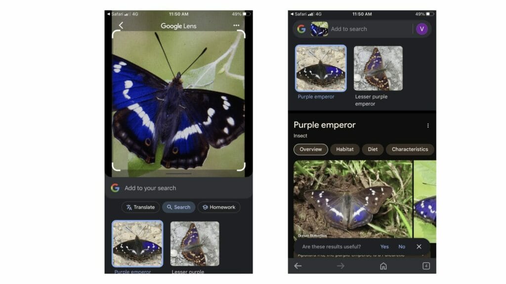 How to use Google Lens How to use Google Lens