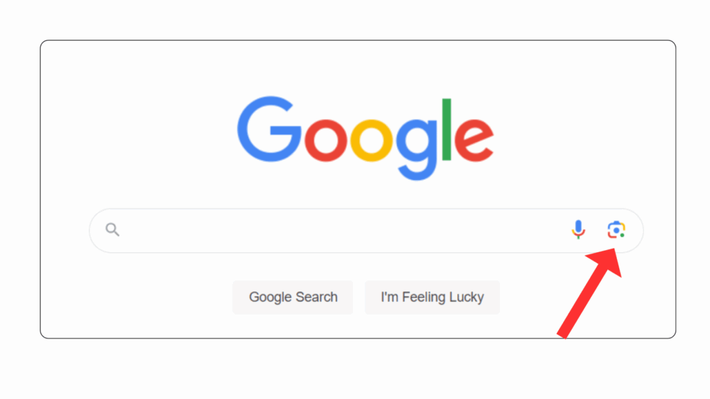 How to use Google Lens to identify flowers How to use Google Lens to identify flowers