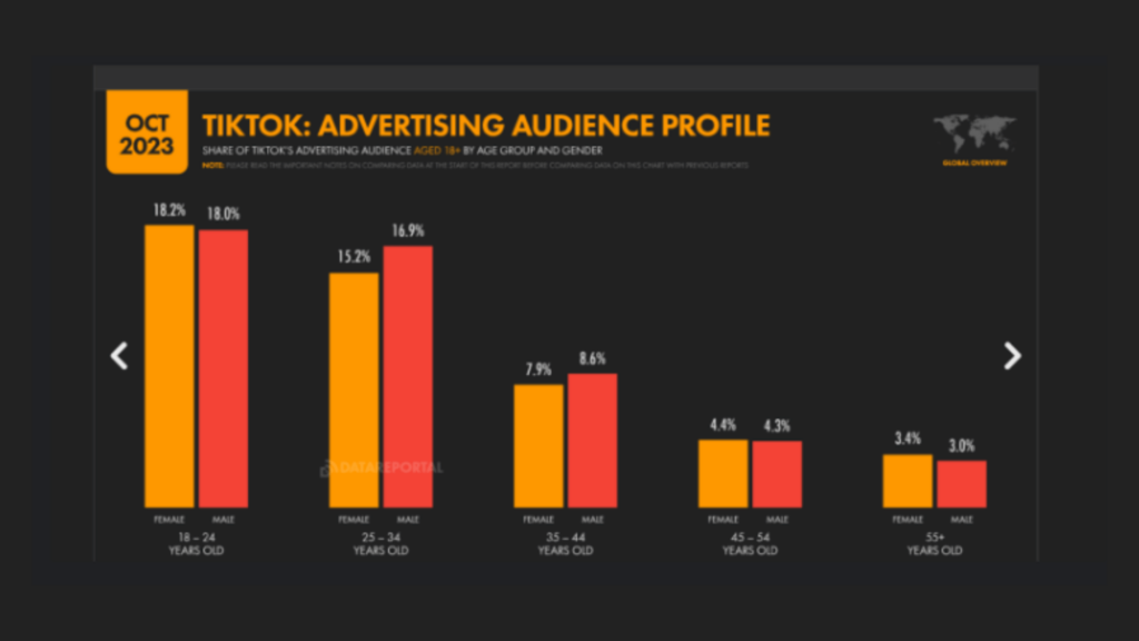 TikTok Audience Profile TikTok Audience Profile