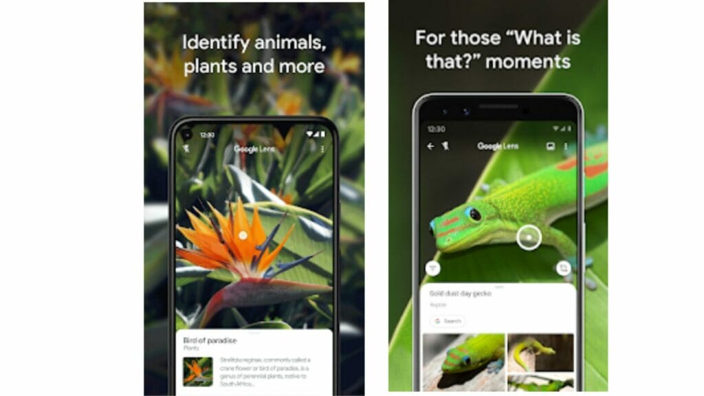 What can Google Lens do What can Google Lens do