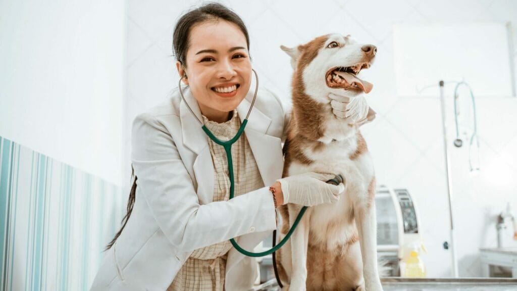 Will AI replace veterinarians Will AI replace veterinarians