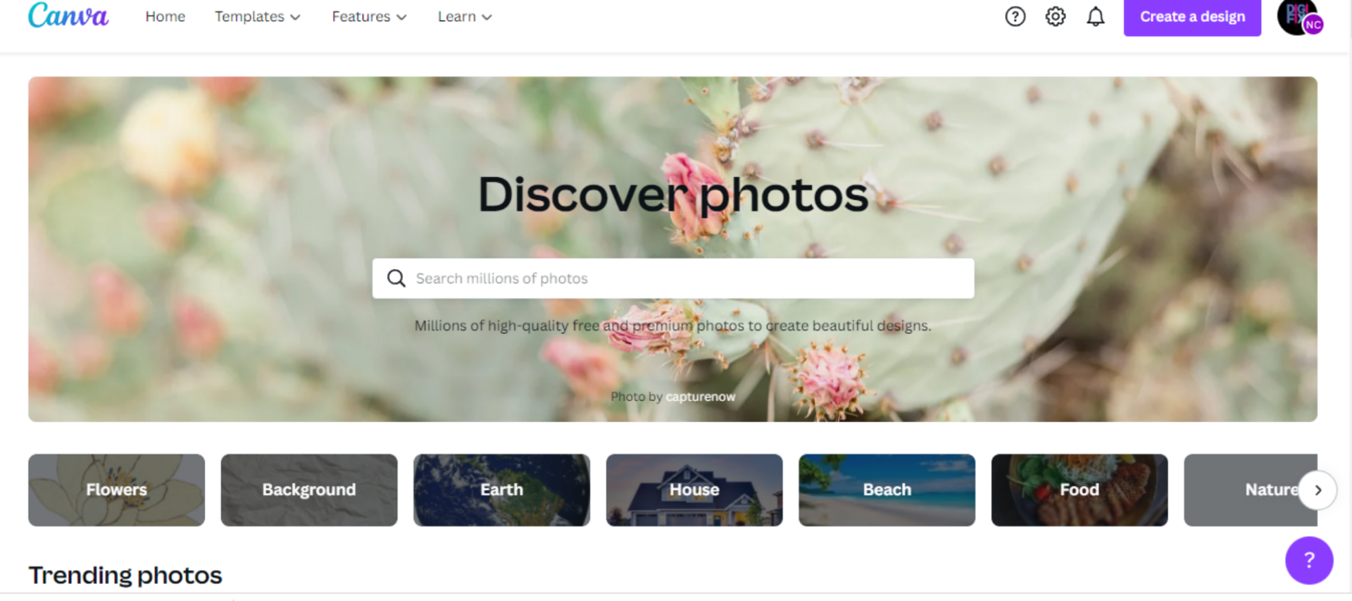 canva canva