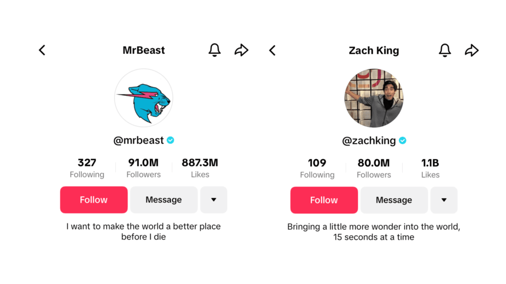 TikTok Verified Accounts: How to use TikTok for Business