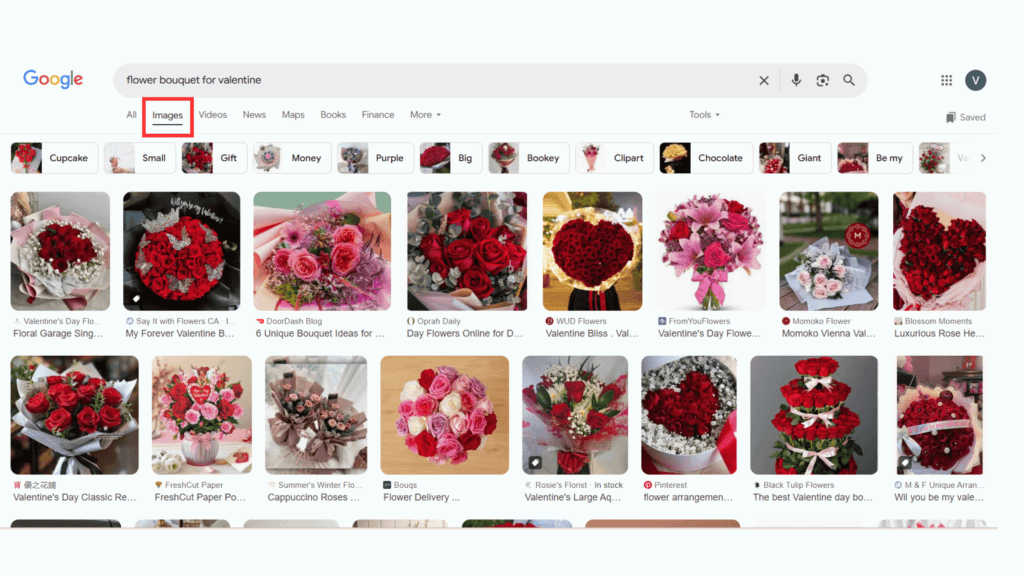 Where Can Images Appear in Google search results